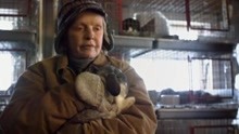 暖心医生治好了兔兔之后 跟茱莉娅讲道理细心教她怎么养兔兔