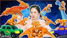 Sister Xueqing Toy Kingdom 2018-06-19