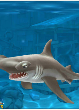 饥饿鲨进化变异鲨鱼图片