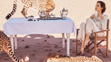 安吉丽娜朱莉非洲草原大片 与猎豹同框霸气十足