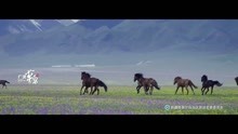 新疆旅游宣传片，中国新疆就是个好地方
