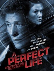 完美人生（2010）
