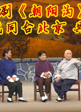 豫剧经典《朝阳沟》传唱60年，“四代演员同台北京”，观众沸腾！