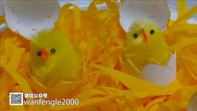 線上看 奇趣蛋孵小雞 (2015) 帶字幕 中文配音，國語版