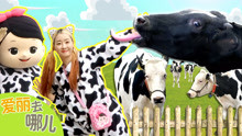 爱丽去哪儿 牛奶的诞生 爱丽和小凯利的奶牛农场初体验