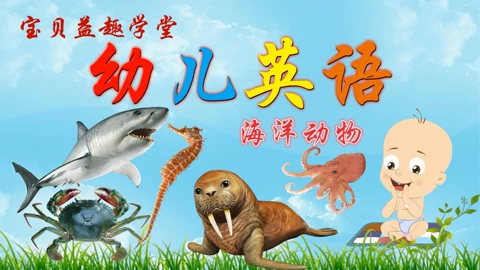 宝贝益趣学堂之幼儿英语 母婴 高清正版视频在线观看 爱奇艺 宝贝益趣学堂之幼儿英语 母婴 高清正版视频在线观看 爱奇艺
