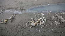 共享单车被人扔到湖底