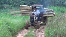 农村大叔拖拉机拉木头, 这条山路开得这车速, 佩服这位司机的技术