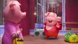穿紧身衣跳舞的猪猪你见过么！看过的人猪年行大运！