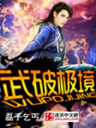 武破极境