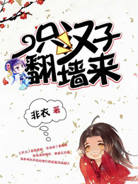 一只汉子翻墙来
