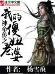 神帝传之我的傻妞老婆