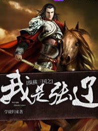 纵横三国之我是张辽