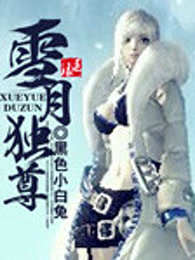 雪月独尊