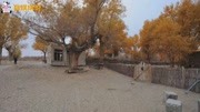中國最大的村莊，身處塔克拉瑪乾沙漠之中，19世紀初才被意外發現