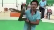 泰国耍蛇人表演遭毒蛇攻击
