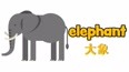 大象的鼻子有多长