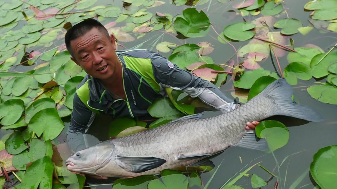 太白湖钓鱼图片