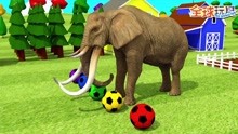 动物卡通动画，大猩猩大象踢足球分辨颜色
