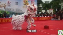 广东省怀集县大岗震远龙狮团，赛事中一鸣惊人，堪称南狮后起之秀