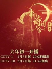 中国诗词大会第4季