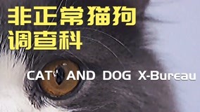 Watch the latest Cat and Dog X-Bureau Episode 1 (2019) with English subtitle undefined