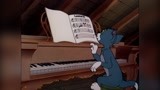 汤姆会弹钢琴是个全能天才，就是不会捉老鼠！