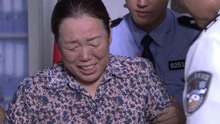 《上线下线》老柴的老婆桂花到西林公安局报案 再次引起警察关注