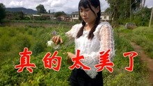 幺妹我住在十三寨歌曲曲谱_幺妹住在十三寨歌曲(2)