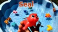 学习认识海洋里遨游的红色海豹