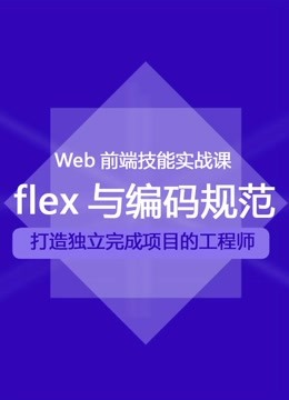 web项目实战课之flex与编码规范