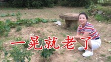 一晃就老了歌曲简谱_一晃就老了简谱