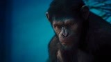 猩球崛起：凯撒真机智，救出大猩猩来逼首领臣服自己，太帅气了