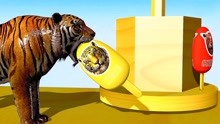 狮子老虎吃彩色雪糕变色