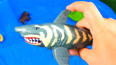 教你认识大海里凶猛的鲨鱼玩具