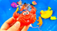 教你认识一只开心的红色螃蟹玩具