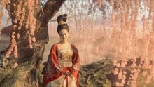 妖猫传：杨贵妃竟转世成了一个和尚？电影的细节揭露了一切！