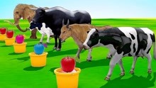 萌萌喂奶牛大象等动物吃水果 认识颜色和动物 英语早教益智动画