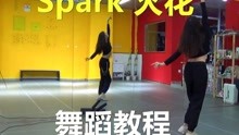 [图]【南舞团】 spark 火花 泰妍 舞蹈教学 翻跳 练习室