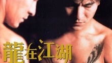  A True Mob Story (1998) sub español doblaje en chino