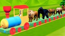 狮子黑猩猩老虎熊坐火车
