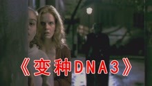 几分钟看《变种DNA3》，变异的蟑螂从新回到了城市里祸害人类