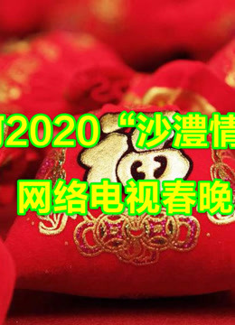 漯河2020“沙澧情缘”网络电视春晚