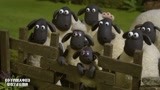 小羊肖恩大电影：小羊们为了逃跑，制定了一套完美作战计划，聪明