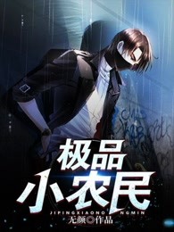 极品小农民