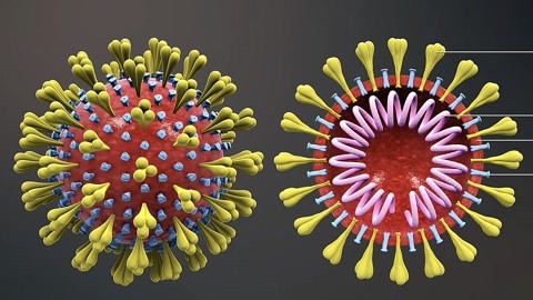 关键洞察力20200212解码新型冠状病毒 科学防控疫情