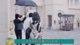 安家：房似锦为什么总是带把伞，说出原因后，徐文昌直接懵了