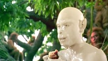西游记：孙悟空出生时是一只石猴，吃了桃子就长毛了！