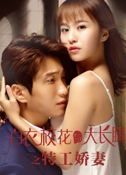 Watch the latest Perfect Match: Agent and Beauty (2020) online with English subtitle for free English Subtitle