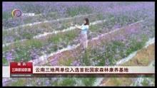 云南三地两单位入选首批国家森林康养基地